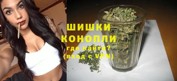 ешки Арсеньев