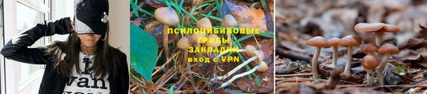 ешки Арсеньев