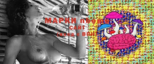 прущие грибы Аркадак