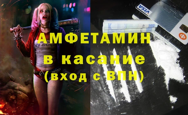прущие грибы Аркадак
