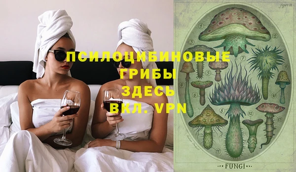 ешки Арсеньев