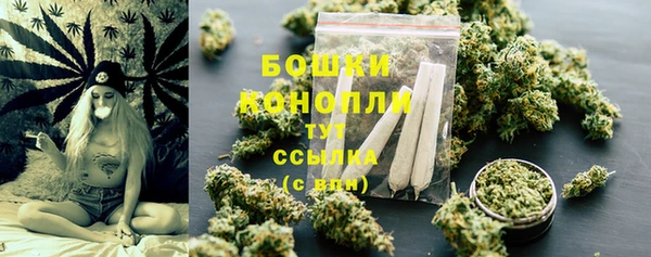 индика Пестово