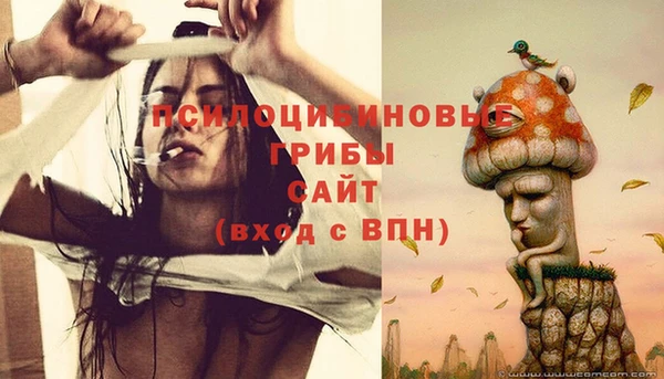 прущие грибы Аркадак