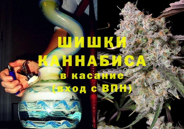 прущие грибы Аркадак