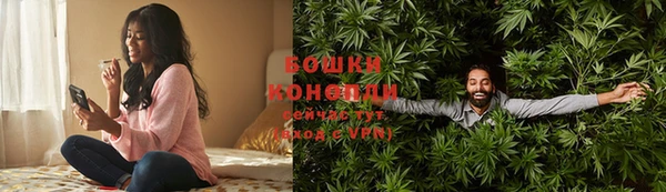 прущие грибы Пересвет
