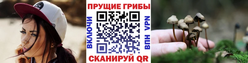 Псилоцибиновые грибы мухоморы  hydra ССЫЛКА  Комсомольск 